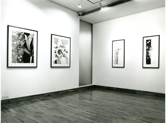ROBERT KUSHNER Installation View