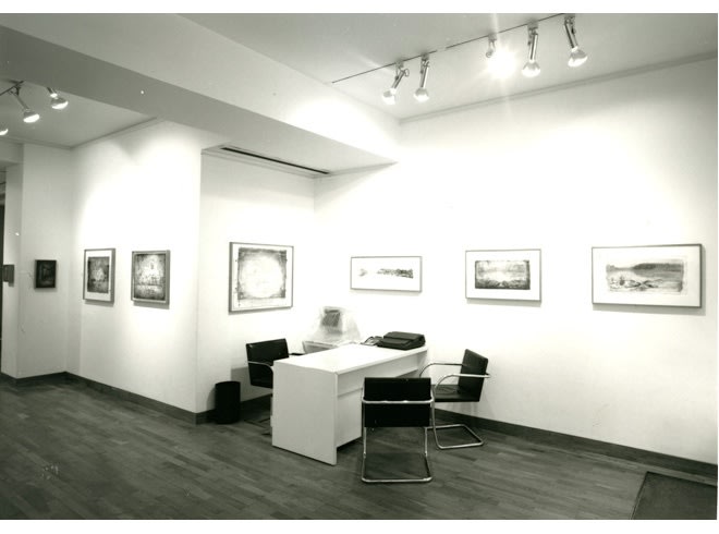 JOHN LEES Installation View