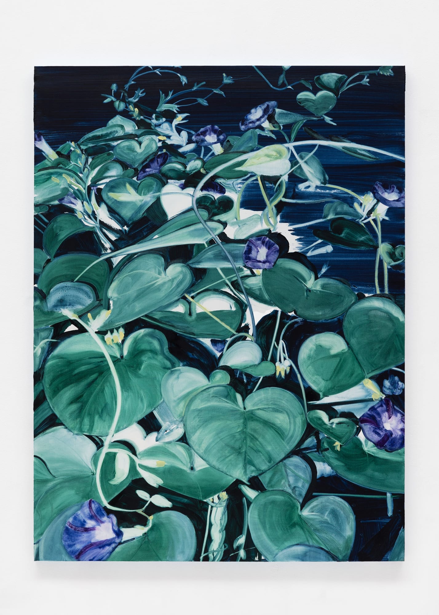 Laura Findlay Morning Glories, 2024 Huile sur panneau / Oil on panel 101 x 76 cm (40 x 30 in.)