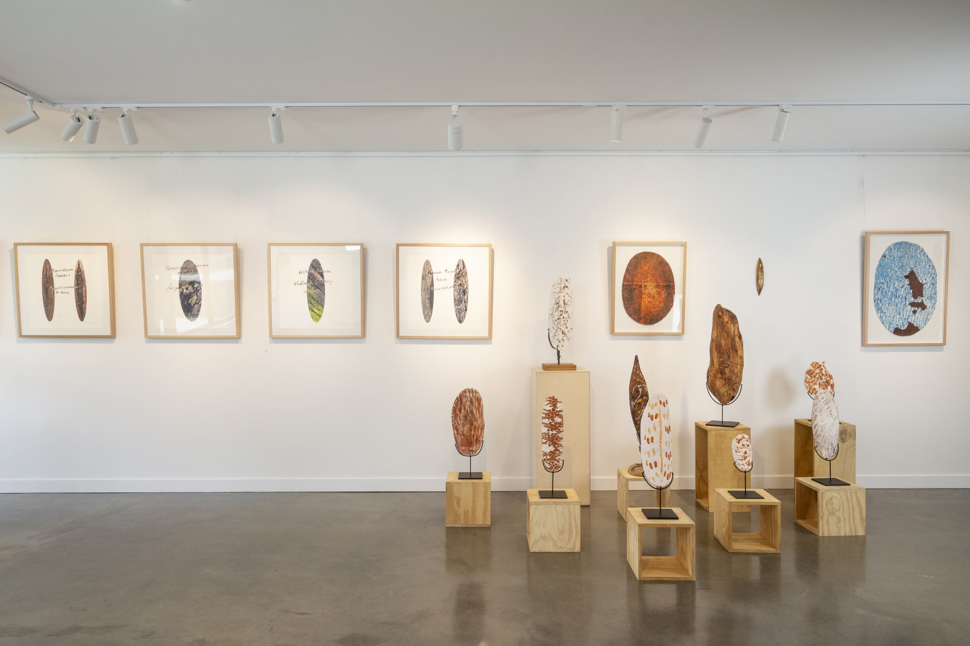 Shell Edge: Dominic White