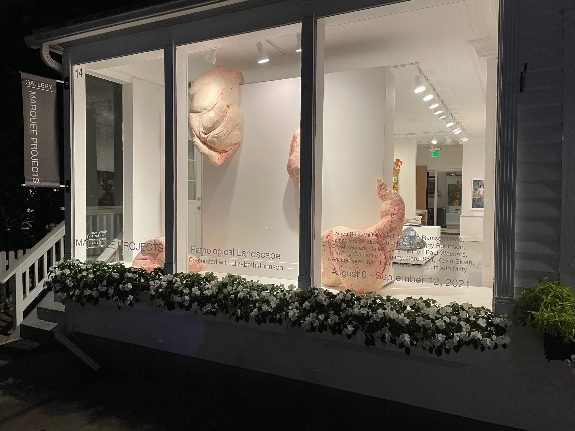 Pathological Landscape