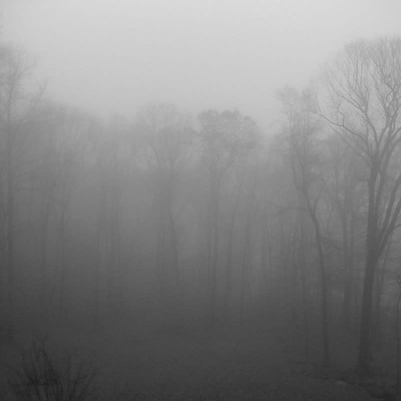 Miya Ando Woods Lake, 2014