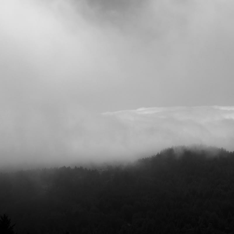 Miya Ando Mountain Cloud, 2014