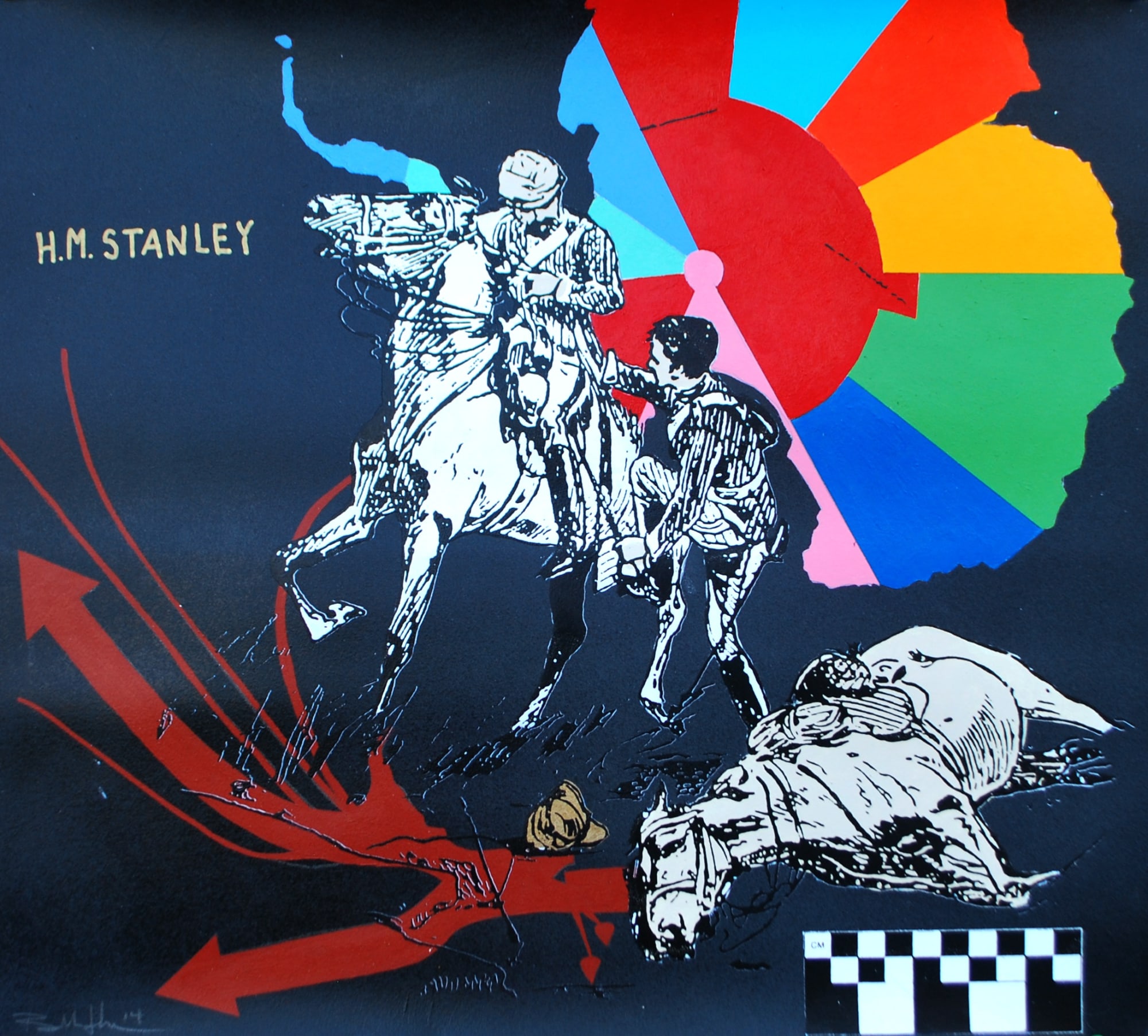 Ryan Metke Congo, 2014