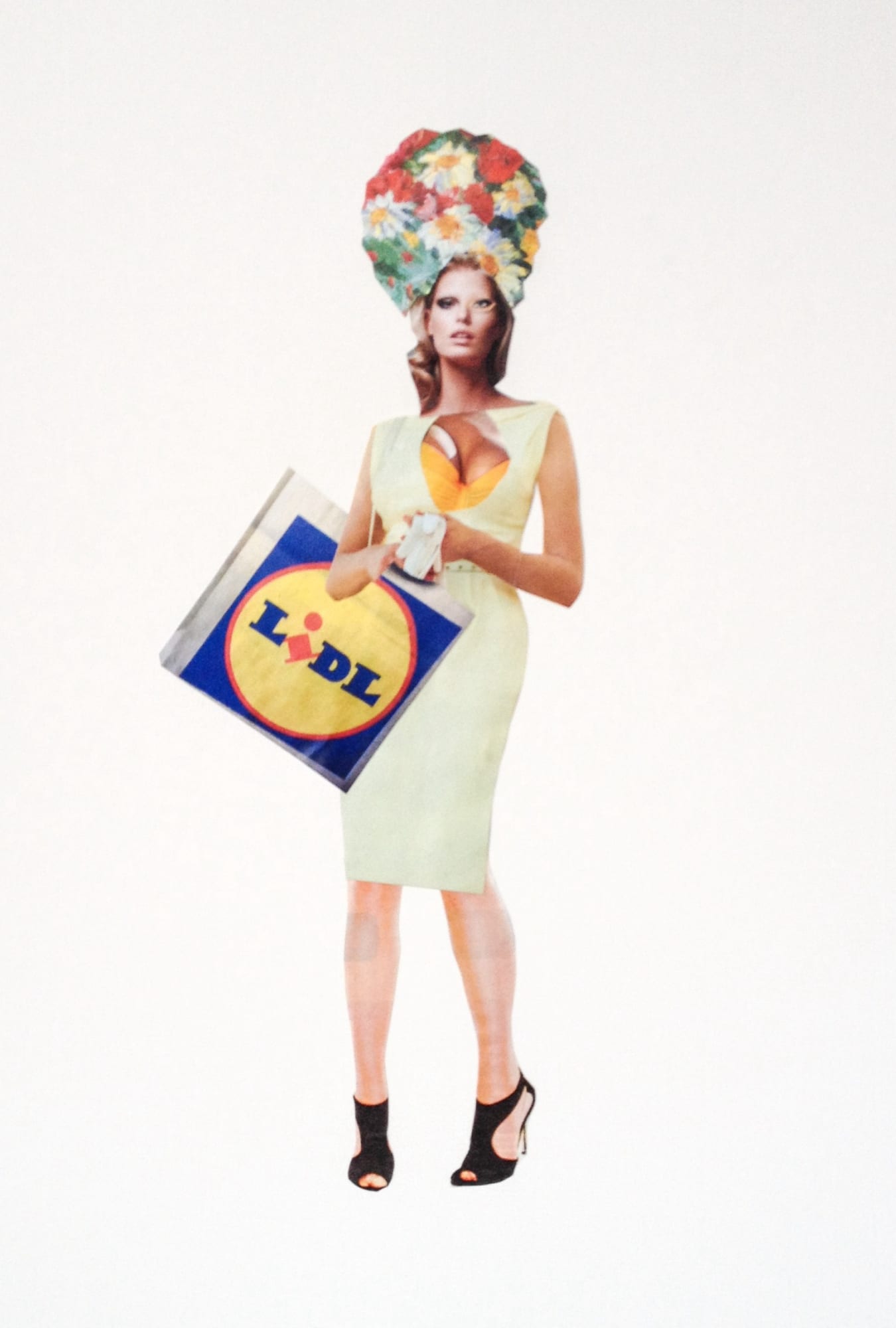 Kirtland Ash LIDL Goda, 2014