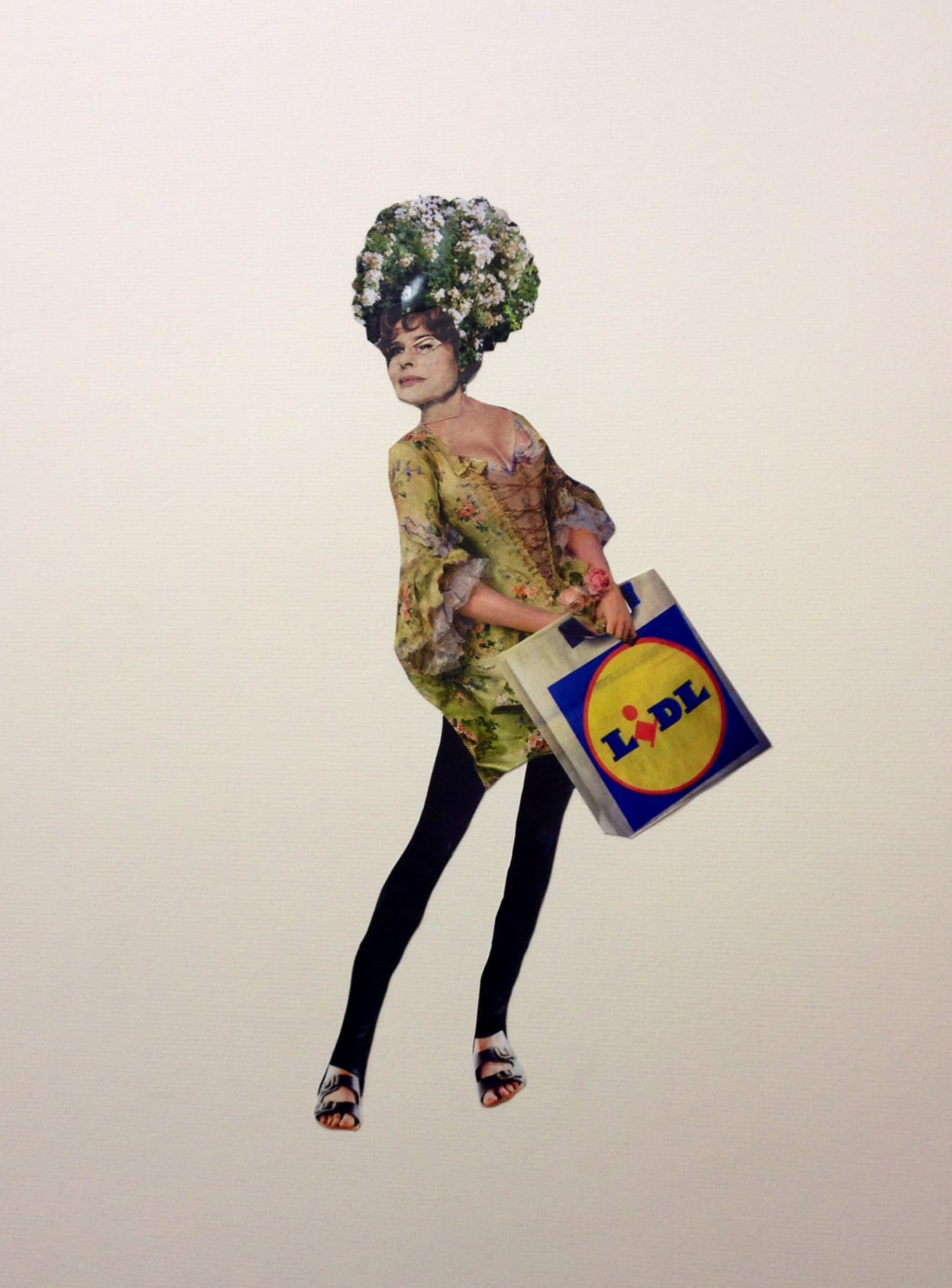 Kirtland Ash LIDL Kathy, 2014