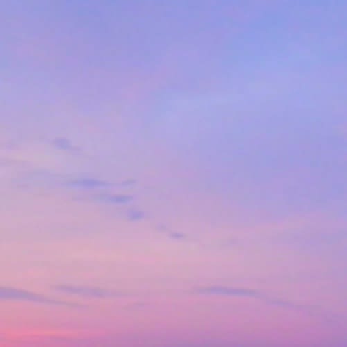 Miya Ando Morning Paris, 2014