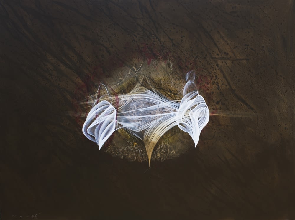 Pooya, Floating Objects on the Garden, 2009