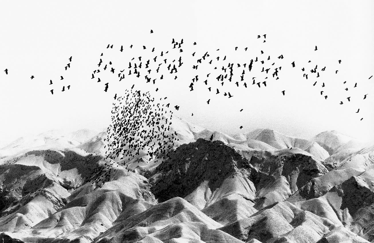 Abbas Kiarostami, From the Snow White and Road Series, 2007