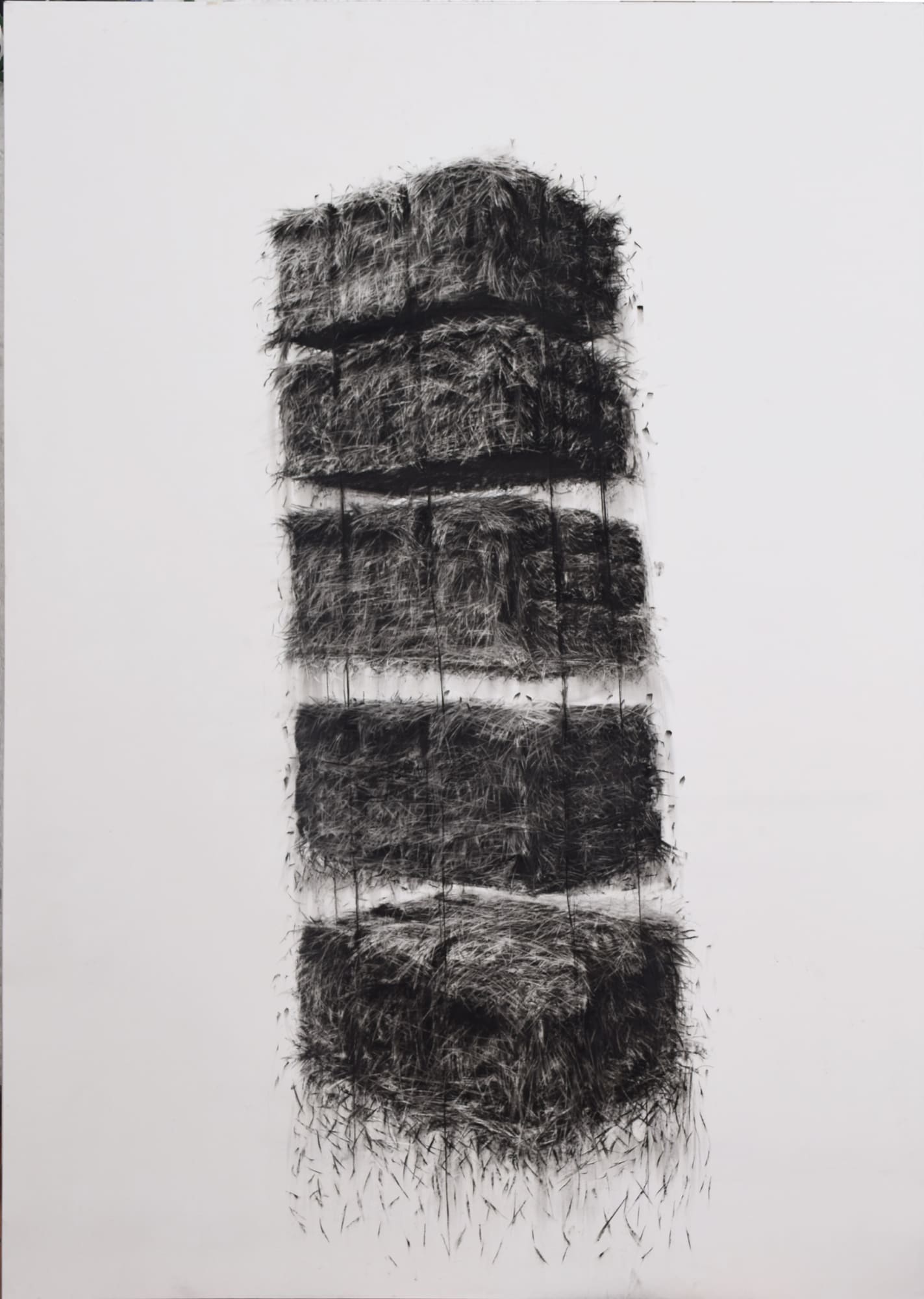 Siega 4, 2018 Charcoal on paper 78 7/10 × 59 1/10 in 200 × 150 cm