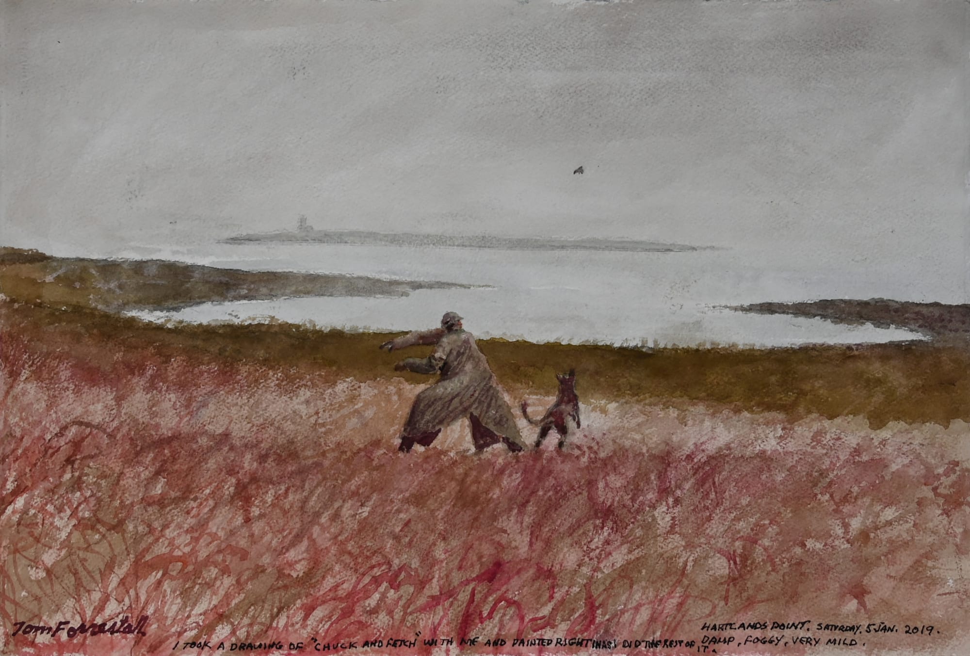 hartlands point by tom forrestall