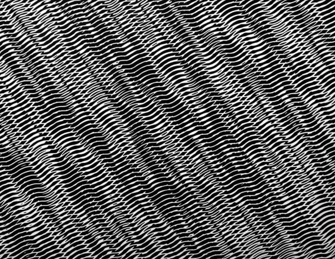 Franco Grignani Combinatoria di strutture ondulate interferenti, 1956