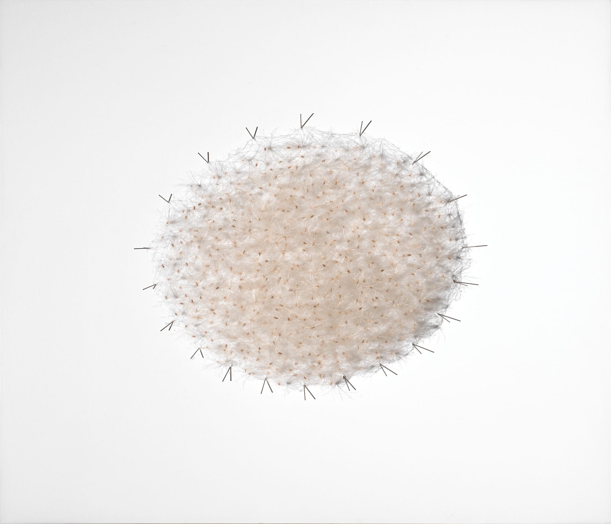 Dall'arte alla natura