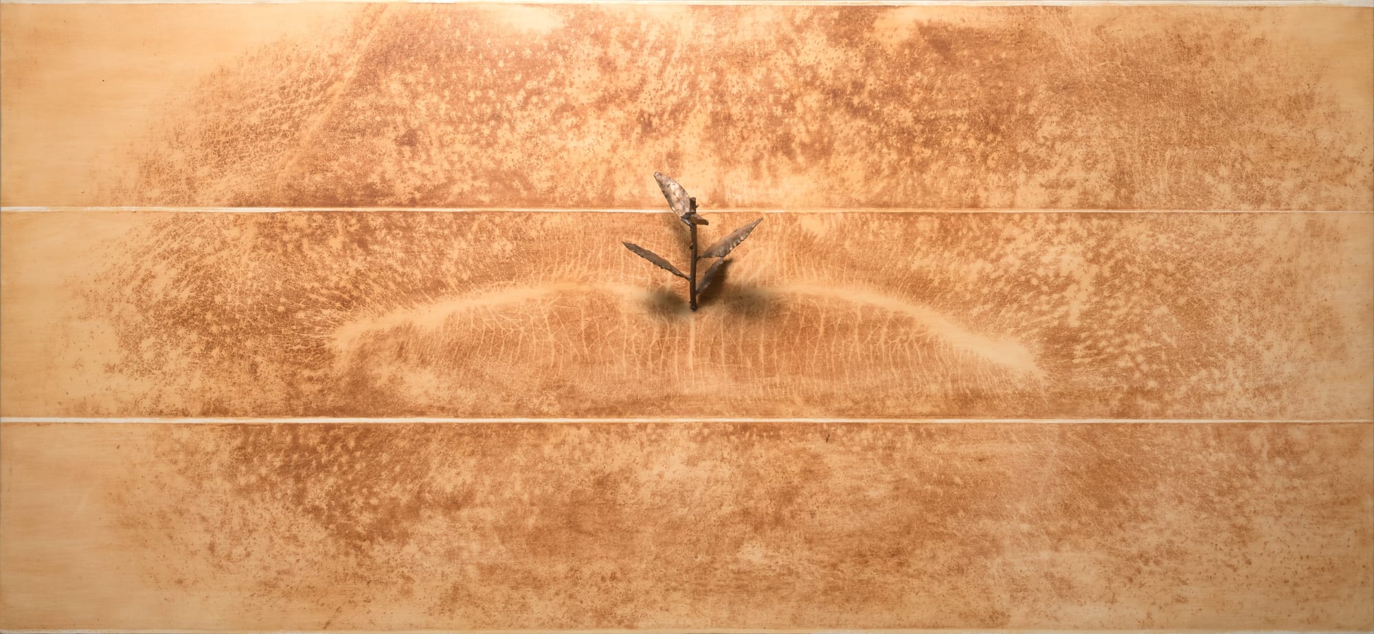 Dall'arte alla natura