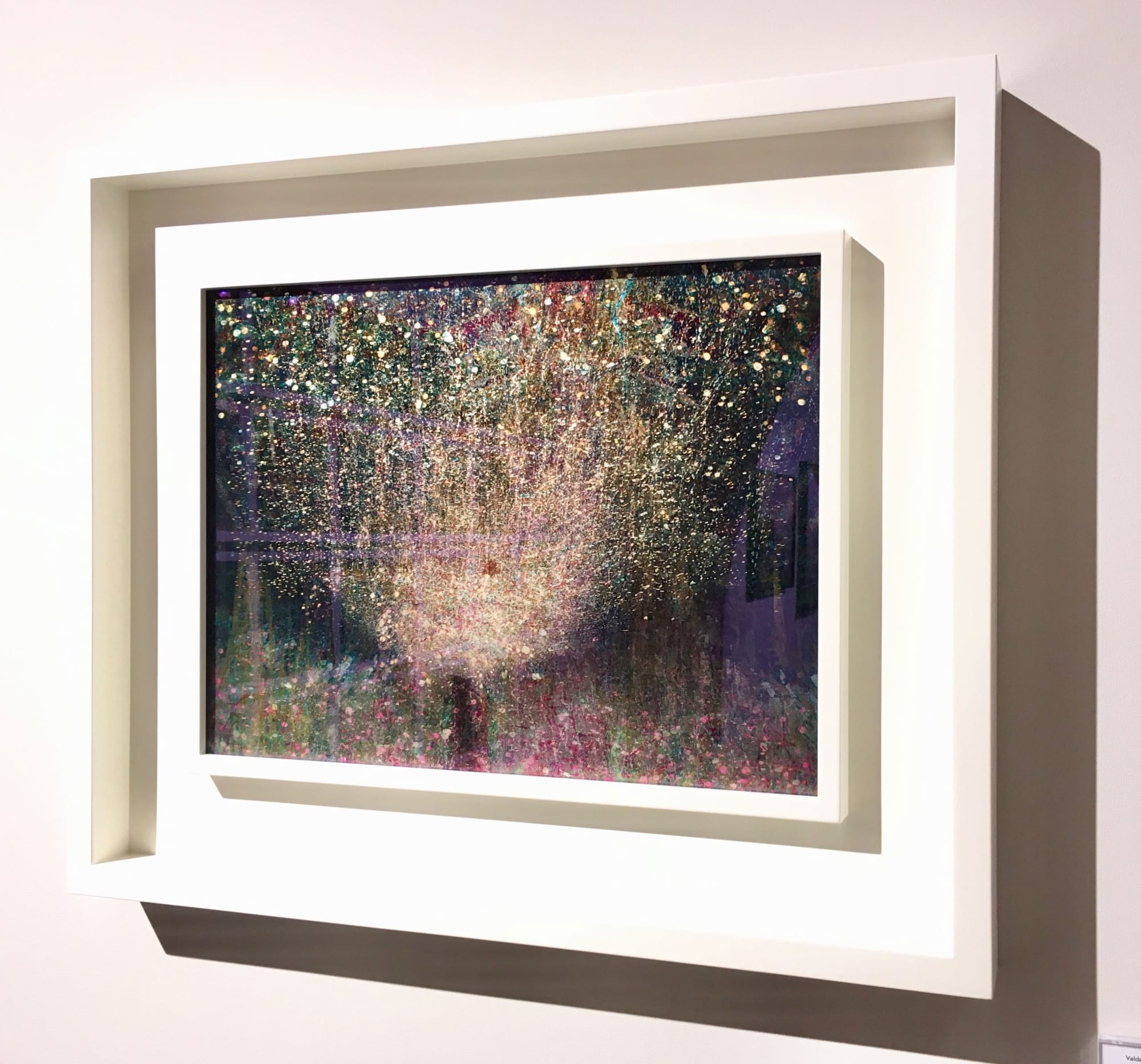 MMX GALLERY , BOOTH D20, PHOTO LONDON 2019 Valda Bailey - Inflorescence, 2018/2019