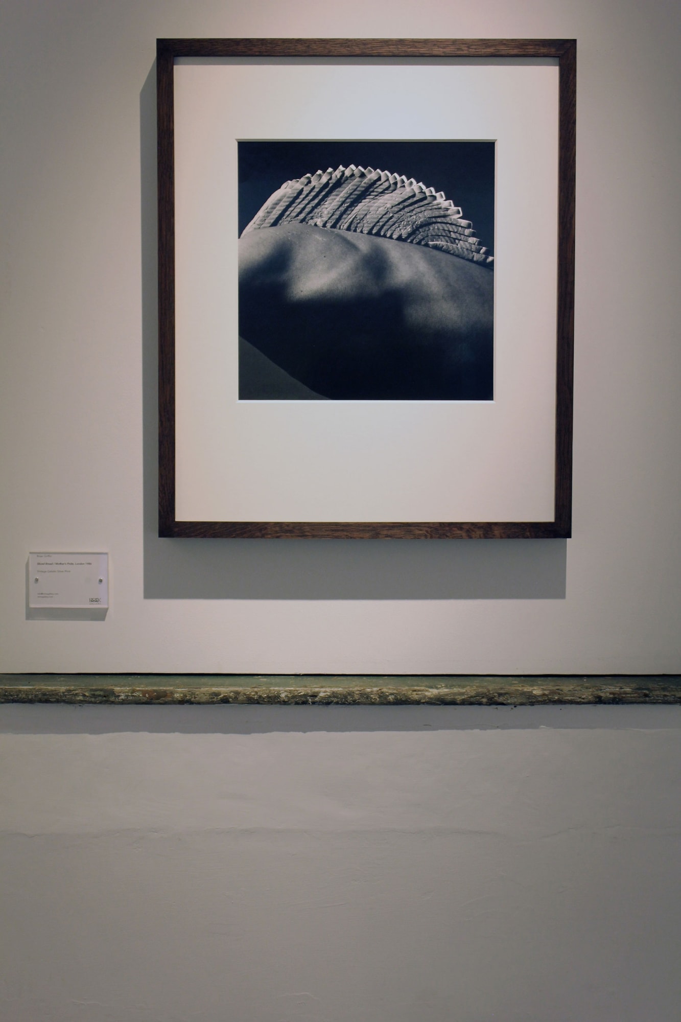 Brian Griffin: Work and other stories