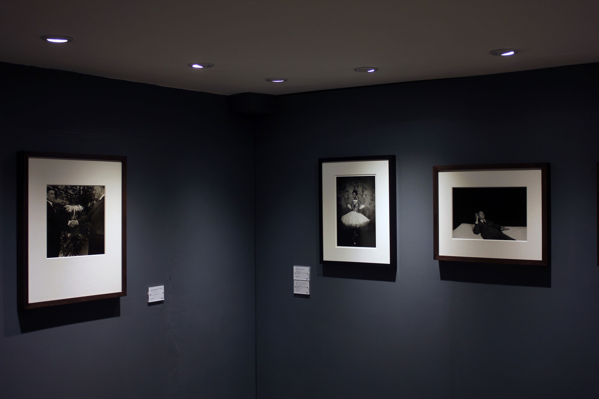 Brian Griffin: Work and other stories