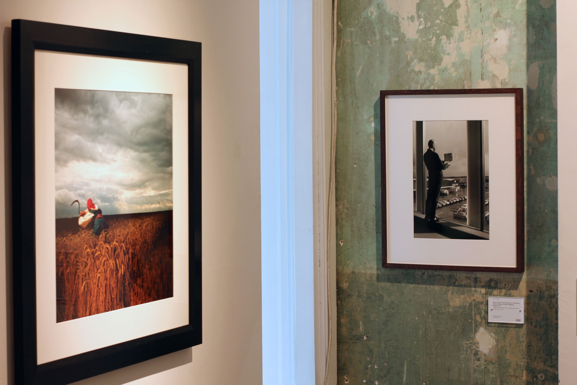 Brian Griffin: Work and other stories