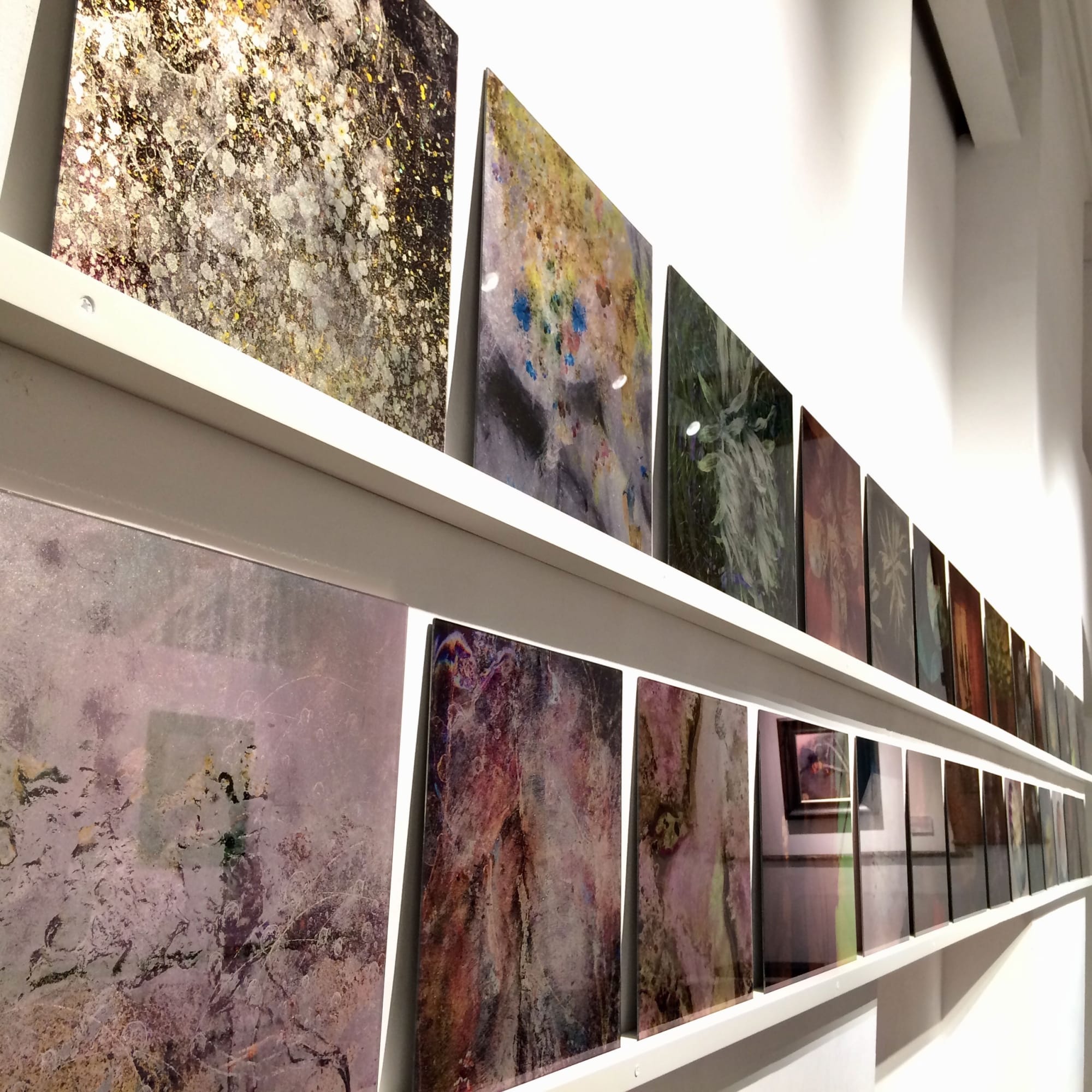 Photographic Prints on Museum Glass by Valda Bailey, individually hand gilded by the artist with various precious metals