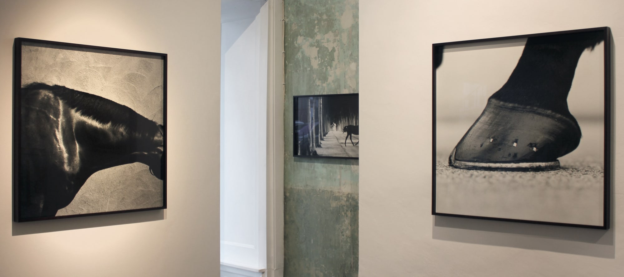 John Reardon: (after) Whistlejacket