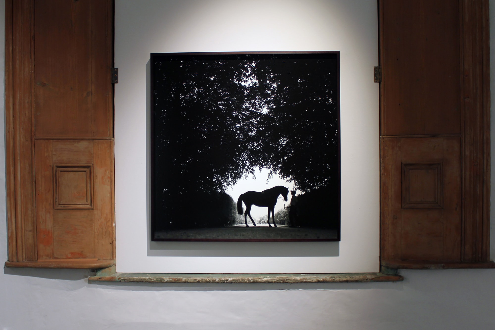 John Reardon: (after) Whistlejacket