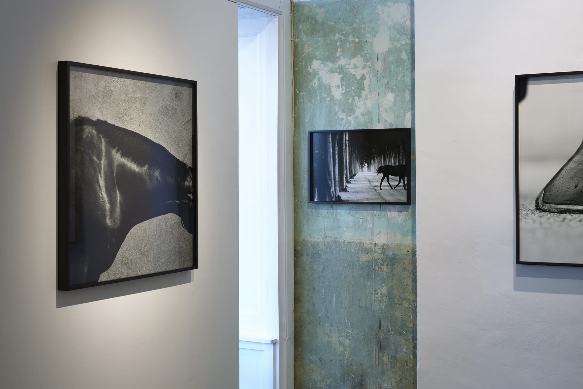 John Reardon: (after) Whistlejacket