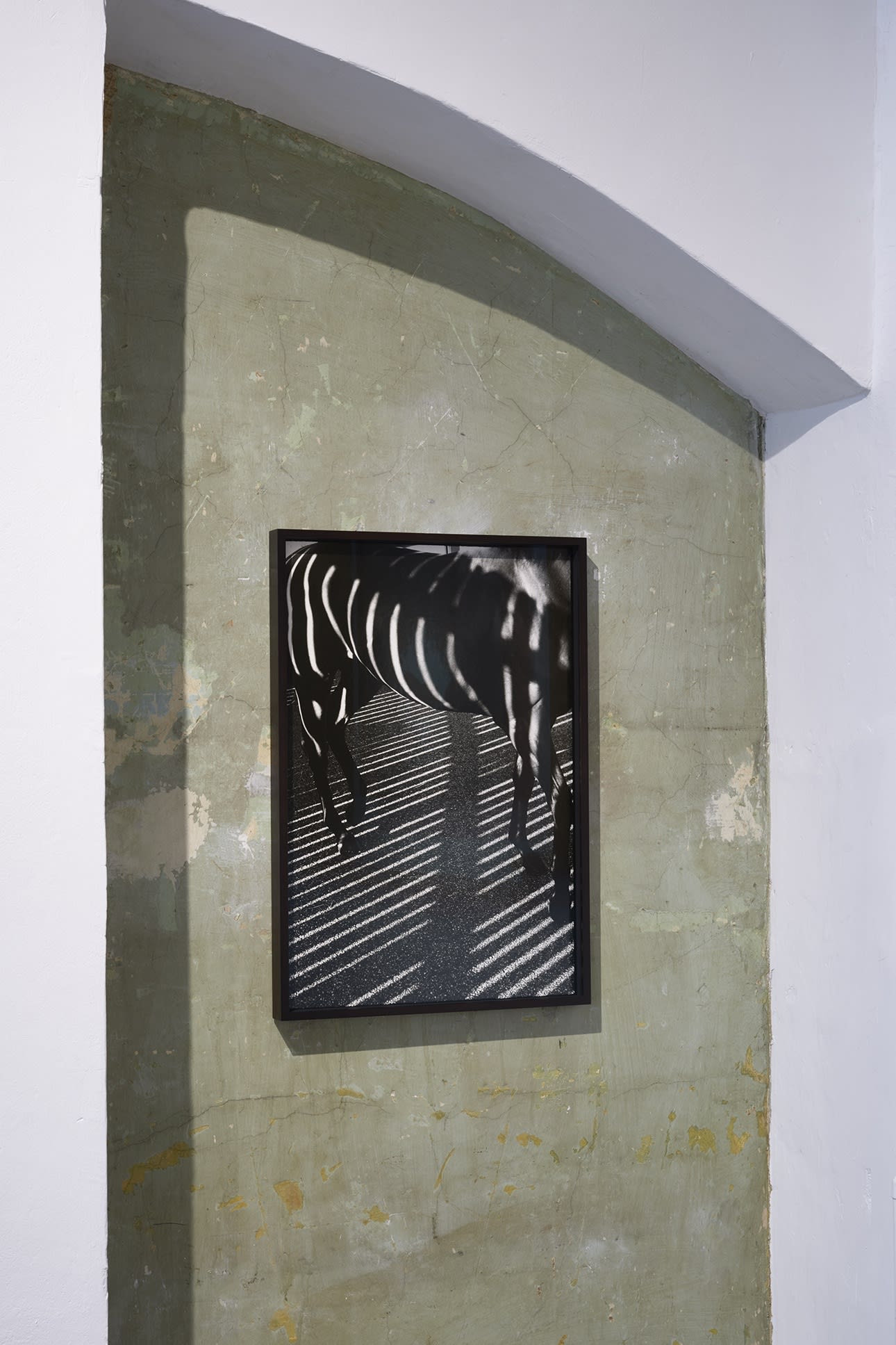 John Reardon: (after) Whistlejacket