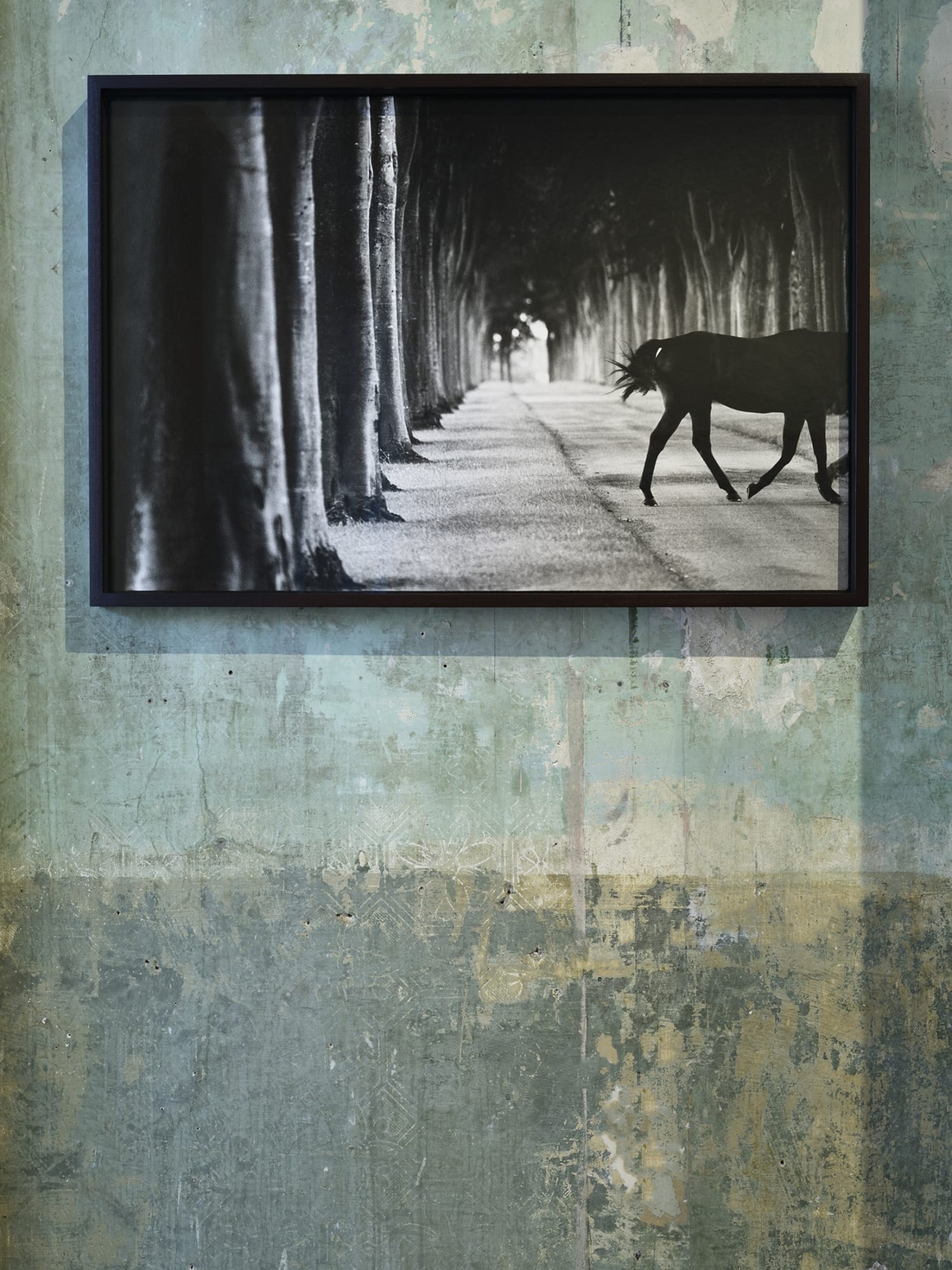 John Reardon: (after) Whistlejacket