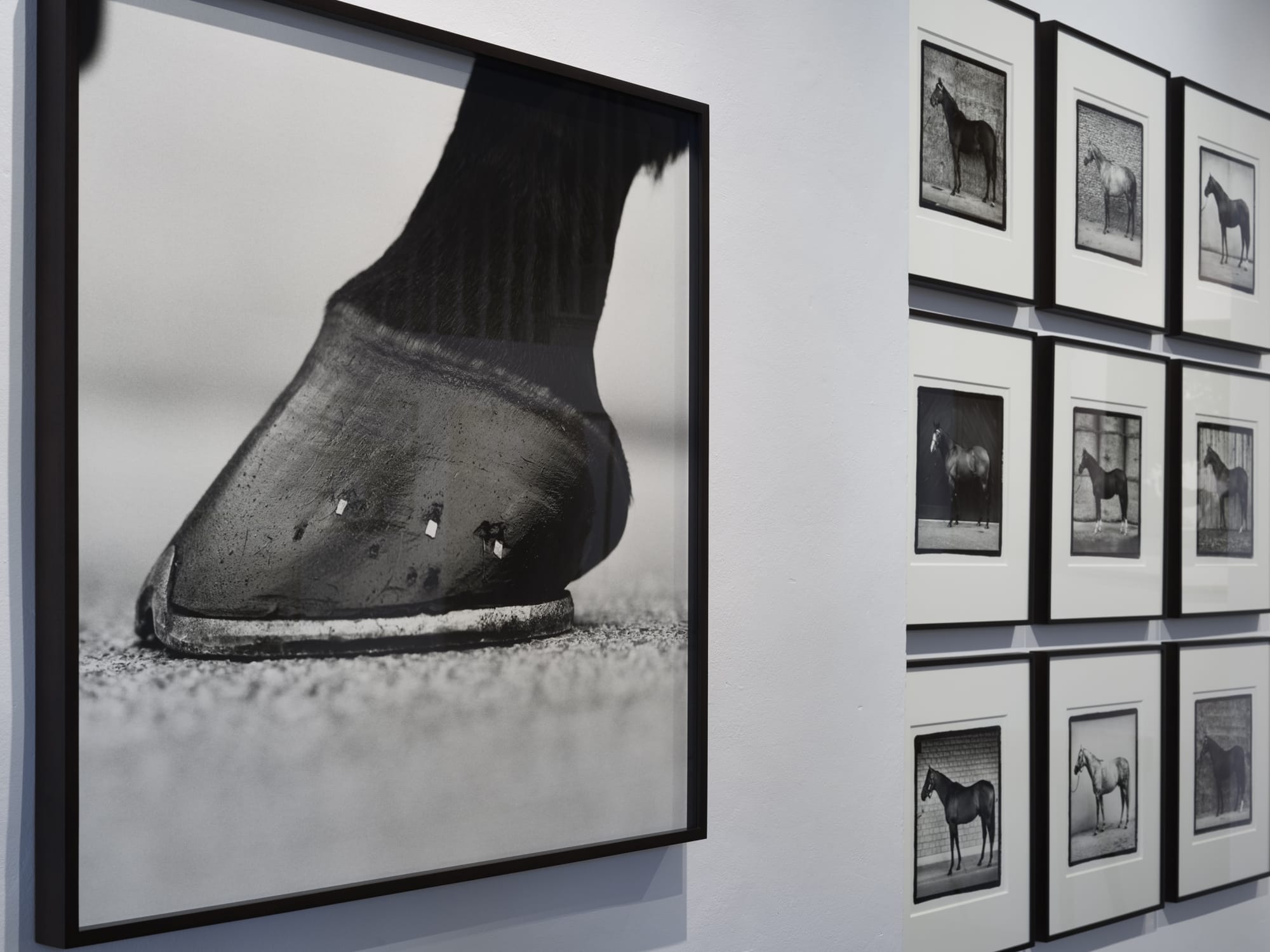 John Reardon: (after) Whistlejacket