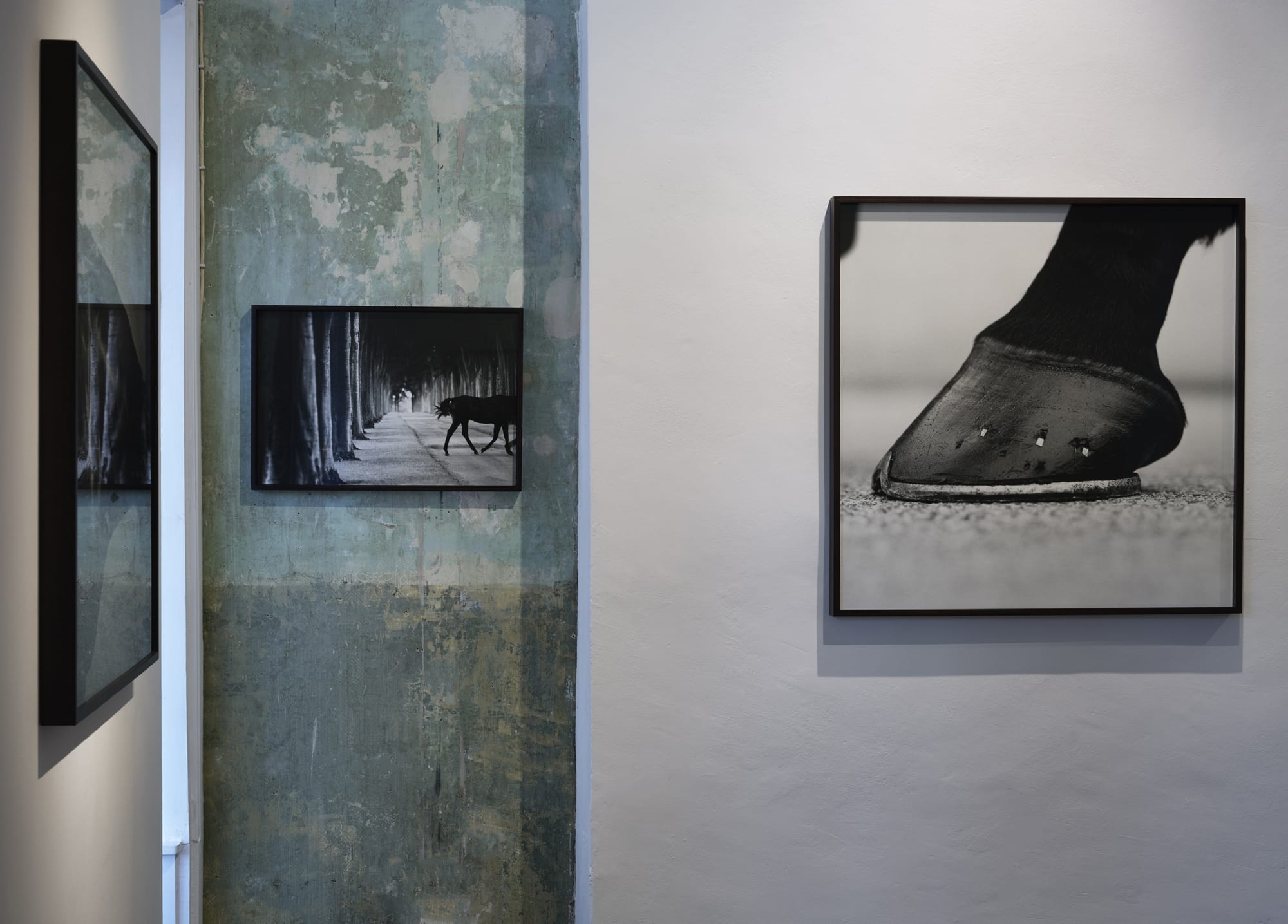 John Reardon: (after) Whistlejacket