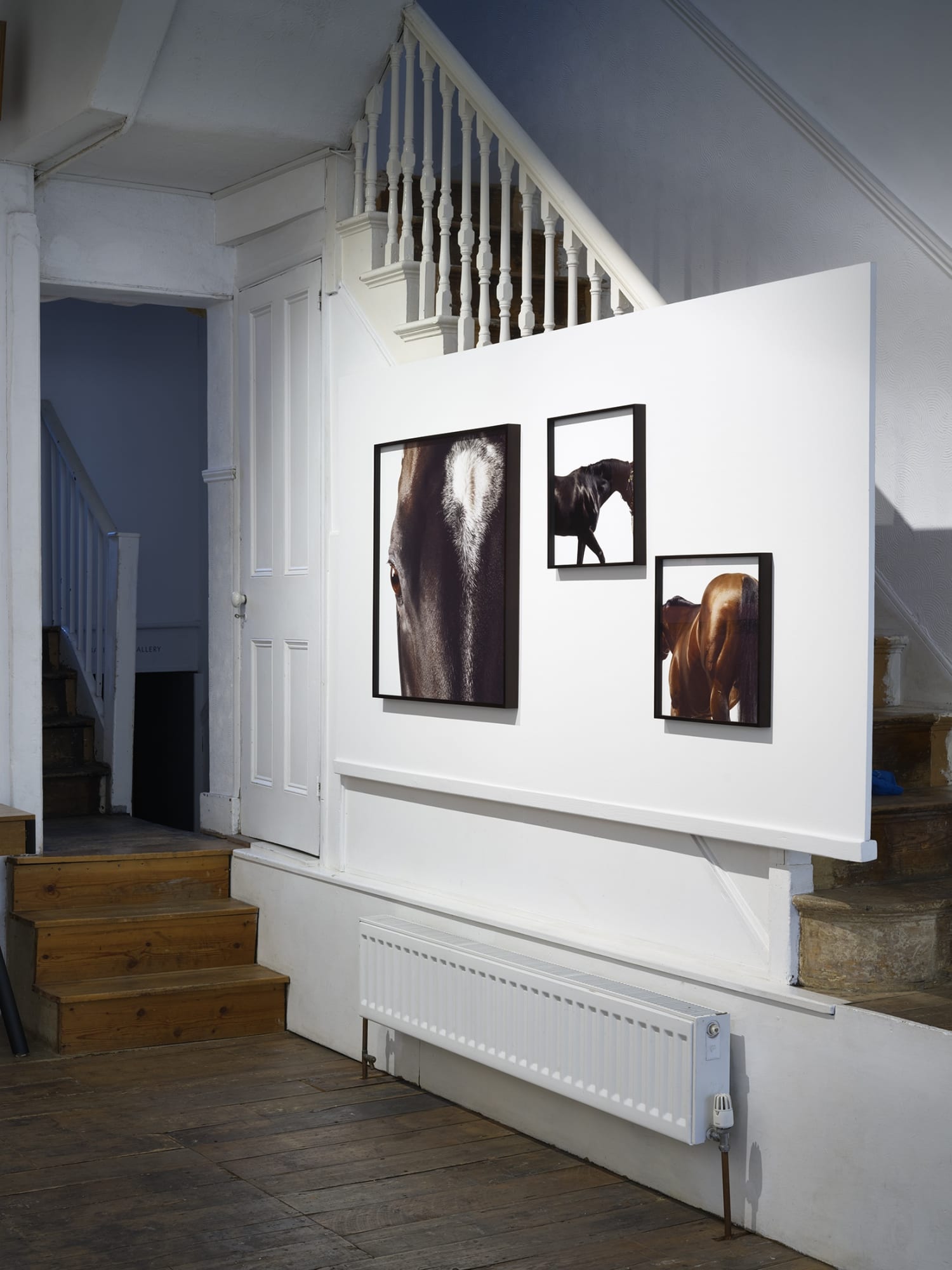 John Reardon: (after) Whistlejacket