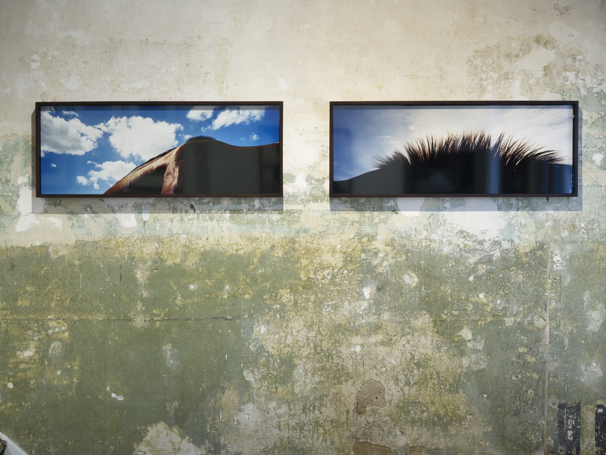 John Reardon: (after) Whistlejacket