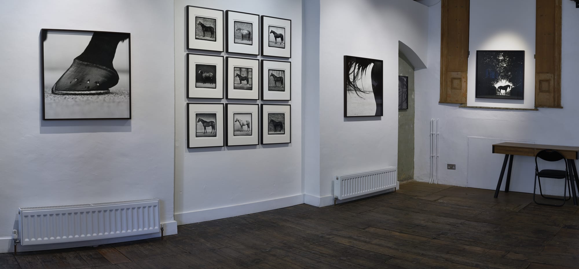 John Reardon: (after) Whistlejacket