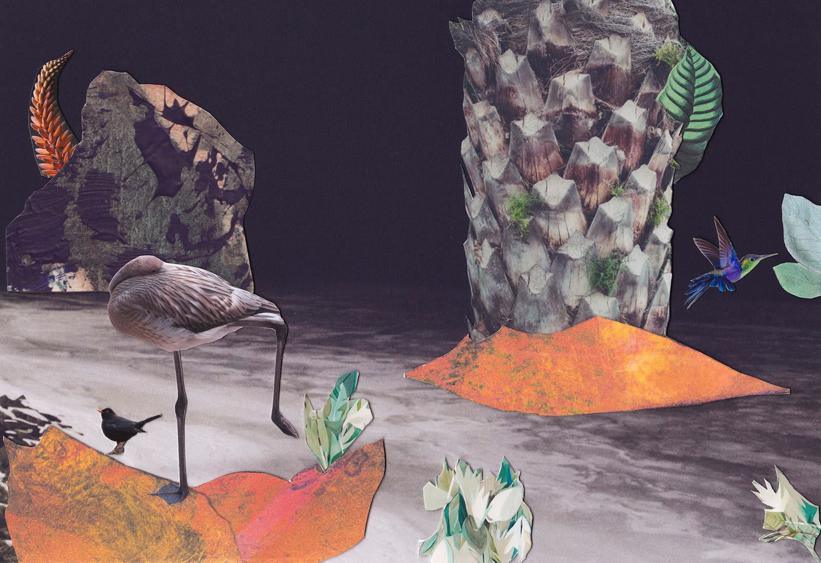Placeholder image