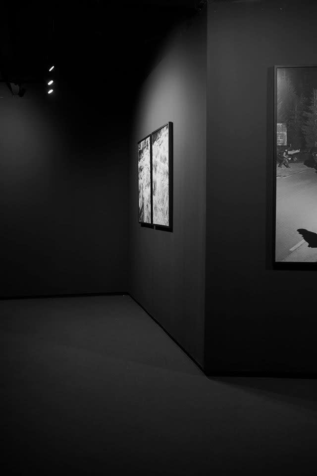 Gărâna Jazz Festival 20