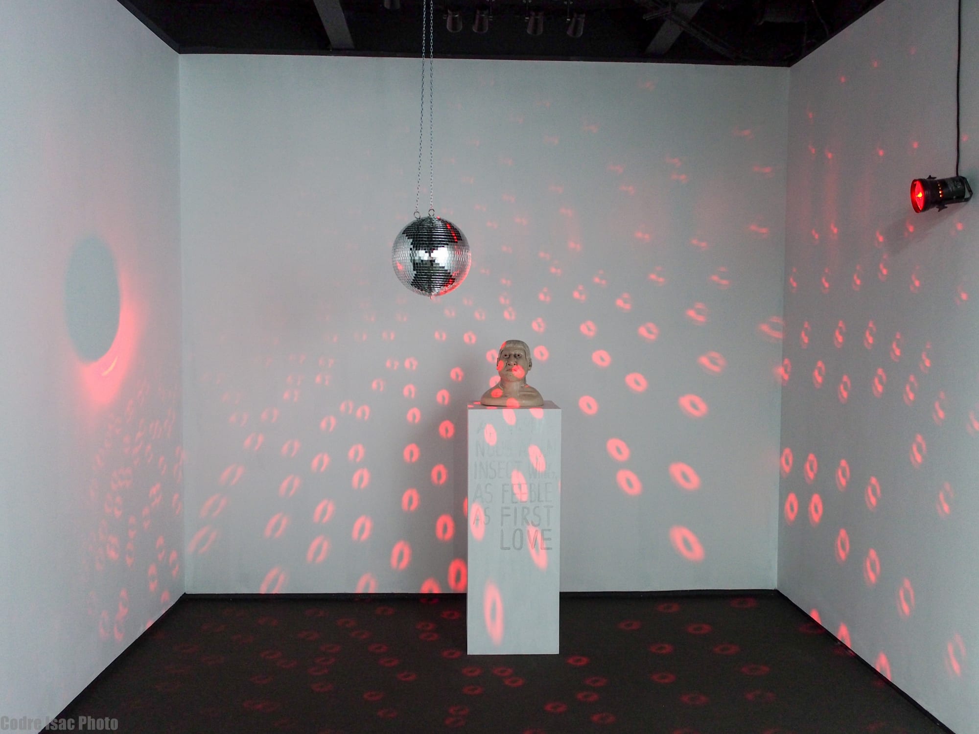 I Am At My Most Beautiful When I Am Alone