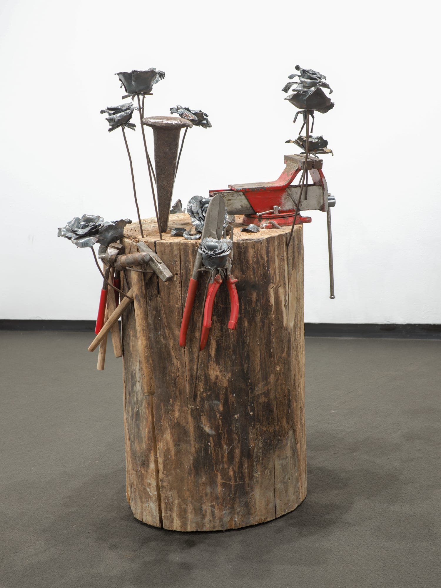 Hidden Sorrows: Roma Stories