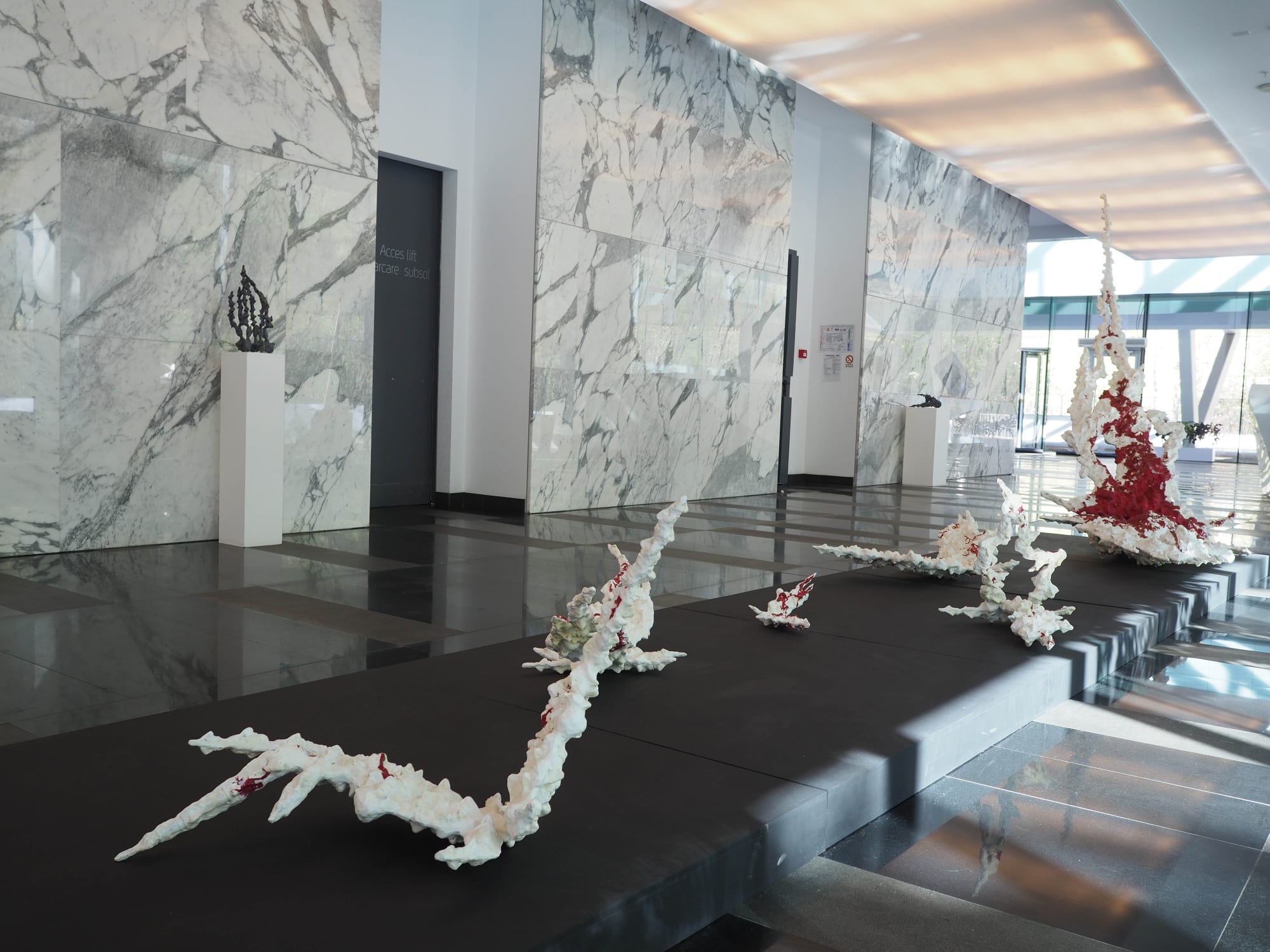 Bianca Before Bianca Mann