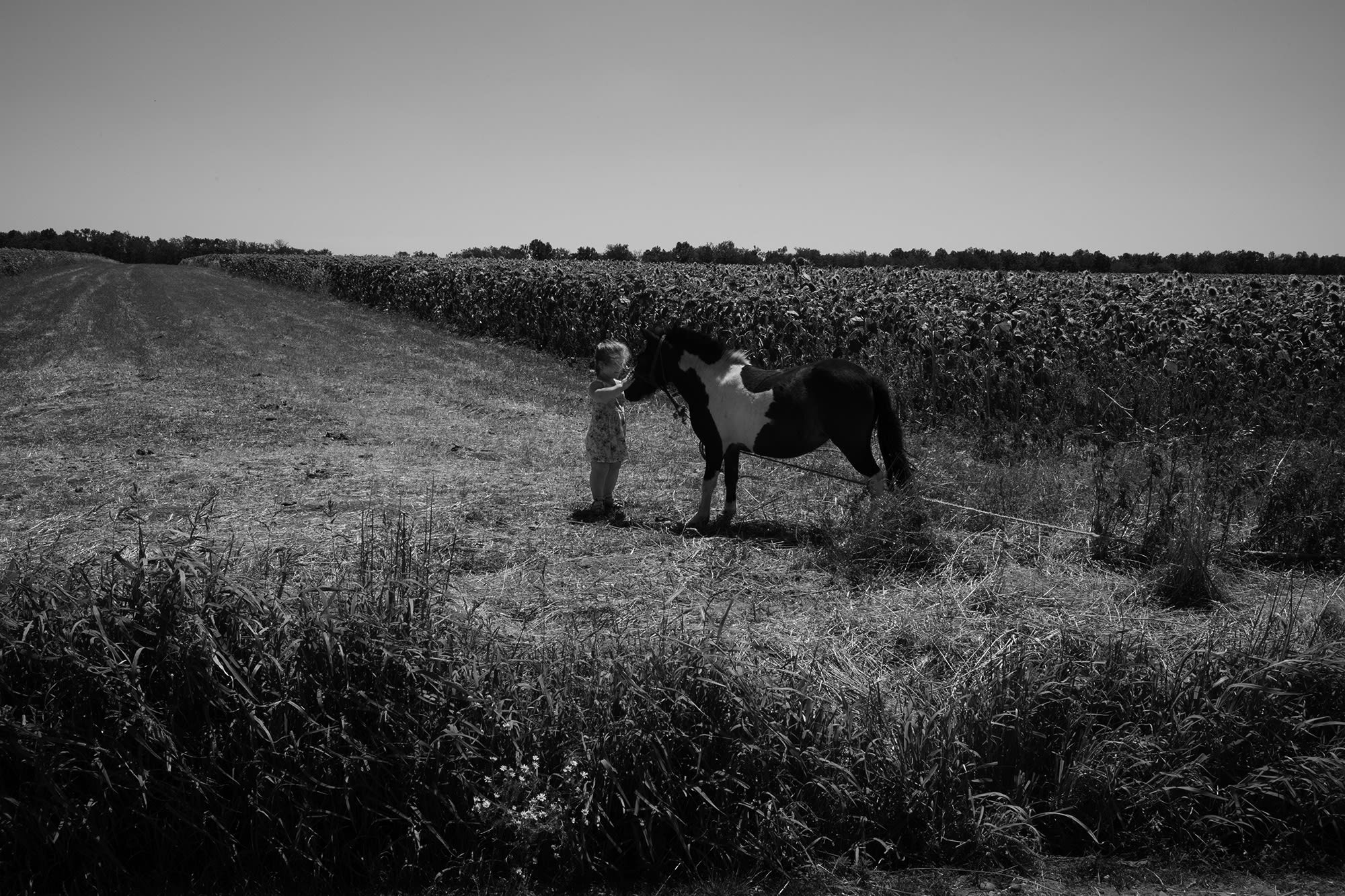 WALKING ON THE SAME EARTH AS YOU