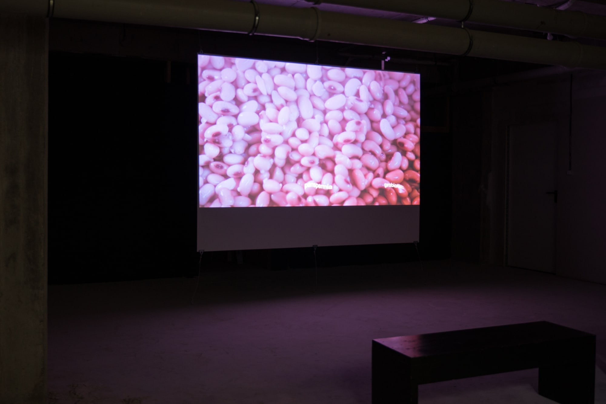 LIVING CONTENT: UNDER PRESSURE