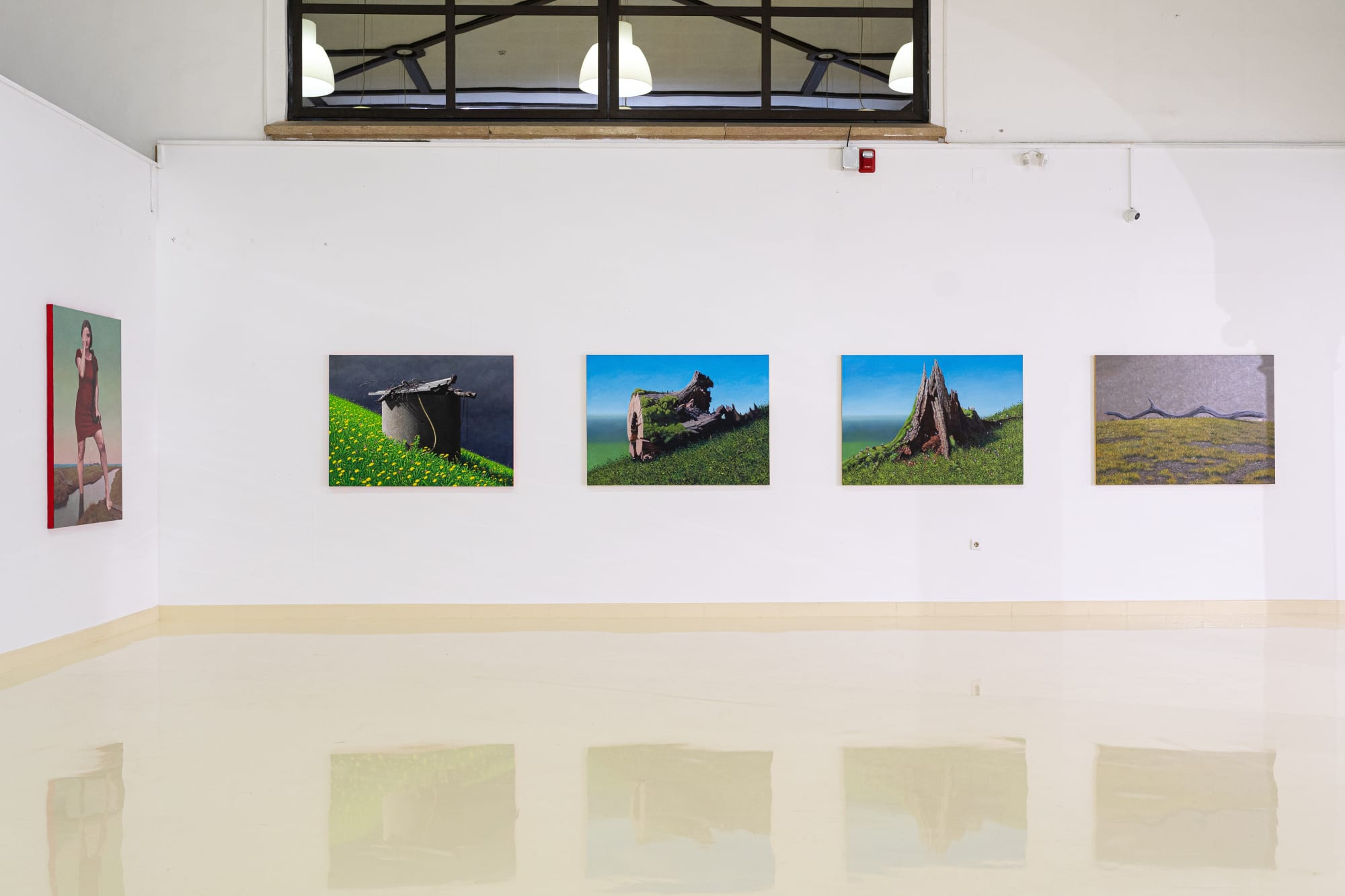 Roman Tolici: New Hope in Sibiu