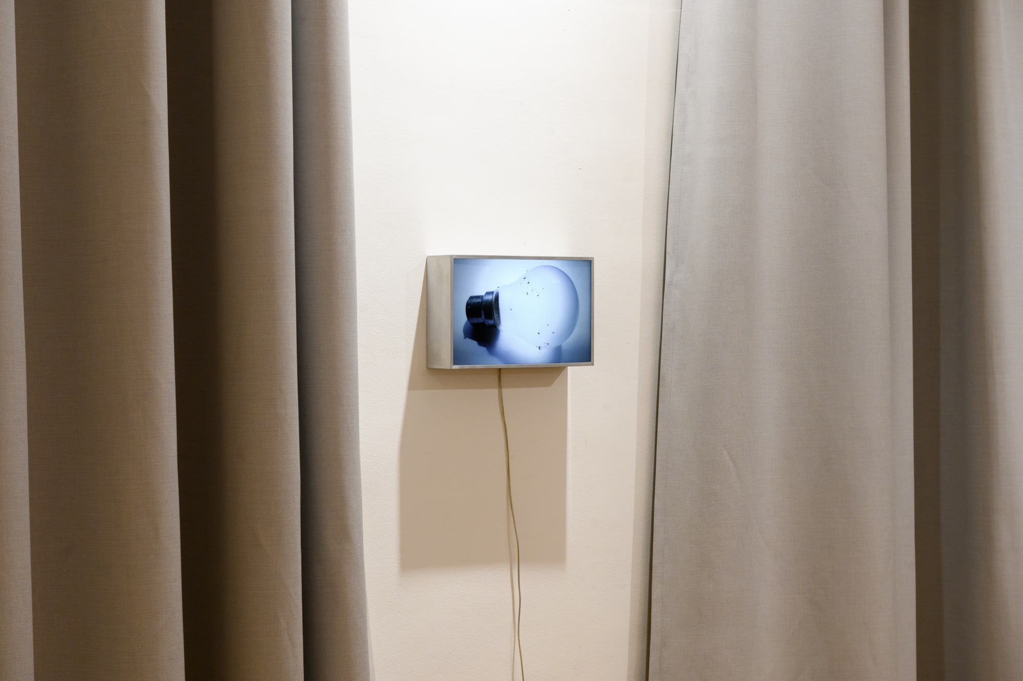 DREAMSCAPES: CICIREAN COLLECTION