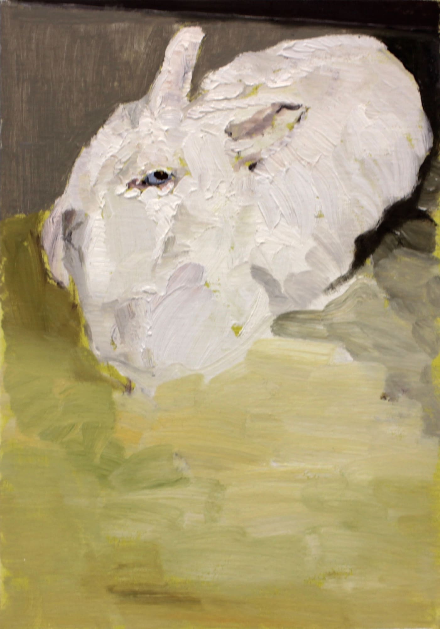 Mollie Douthit Joey Oil on canvas panel 28 x 20 cm