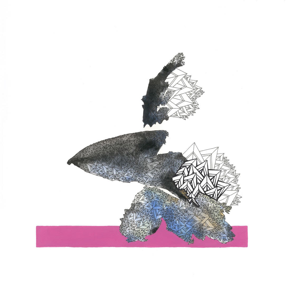 Brendon Marczan Pink robin Pen & ink on paper 30 x 30 cm