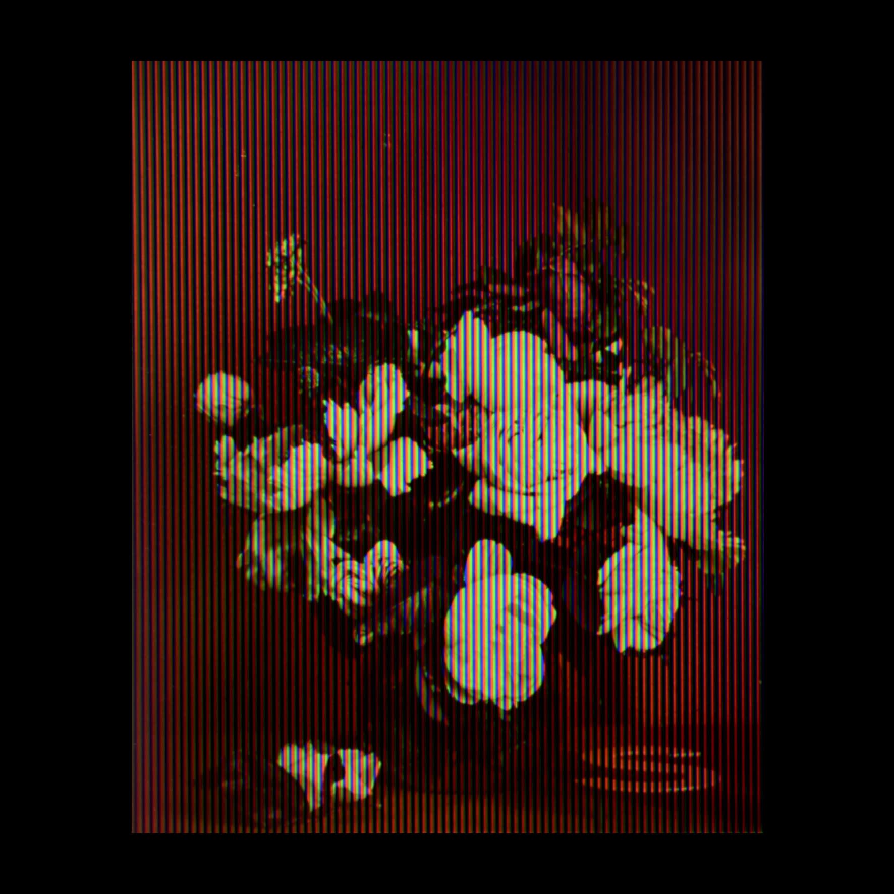 Jacob van Hulsdonck, 1640 when The Proclamation of Dungannon was germinating, 2019