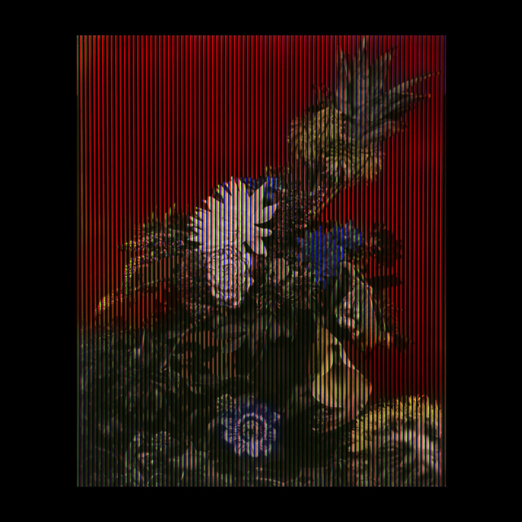 Jan van Huysum 1720, when a different proposal by Swift was of Irish manufacture, 2019