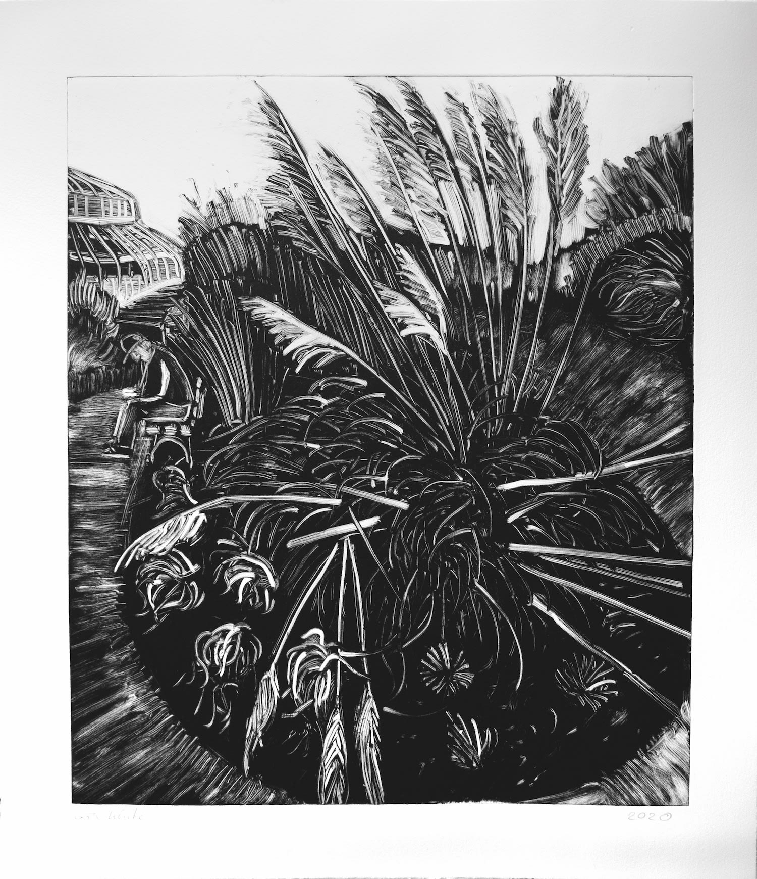 Vera Klute, Man on bench (Botanic Gardens), 2020