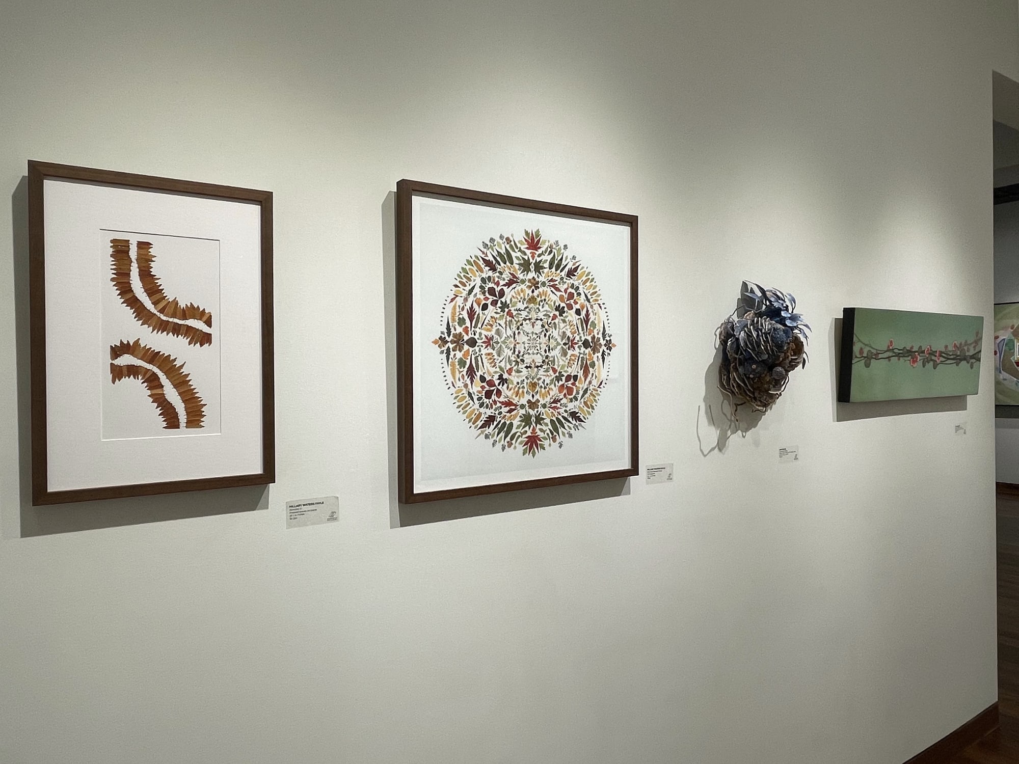 Hillary Waters Fayle | Amy Gross | Ivy Jacobsen