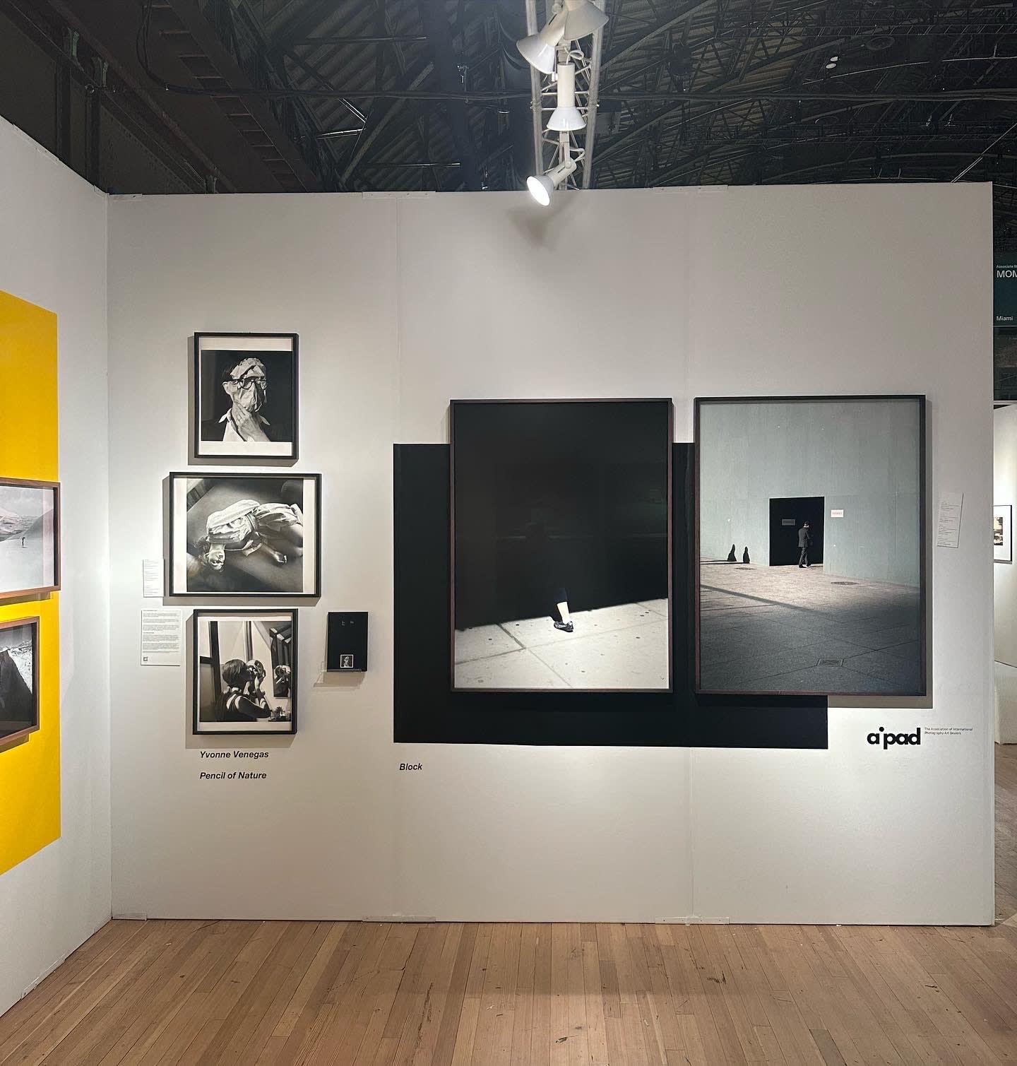 AIPAD- The Photography show