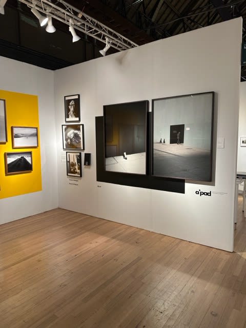 AIPAD- The Photography show